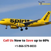 Book Cheap Spirit Airlines Flights 18665798033