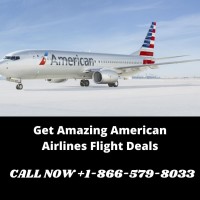 Book Cheap American Airlines Flights 8665798033